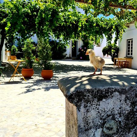 Oryza Guest House& Suites Coimbra Exterior foto